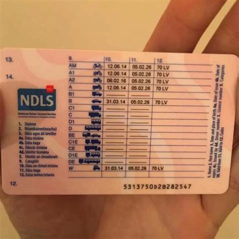 full irish driving licence  original registered driving licence
