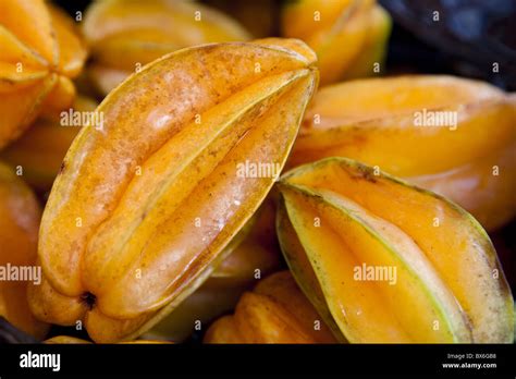 starfruit carambola averrhoa carambola  star shaped fruit