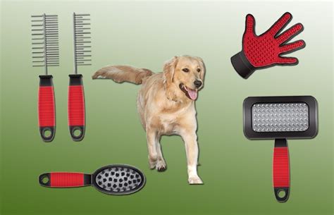 easy   dog grooming supplies   time owner