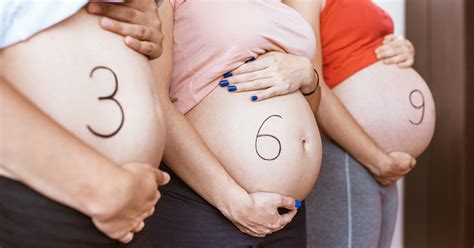 Barriga De Tres Meses - Tercer mes de embarazo. Guía completa para la embarazada de 3 meses