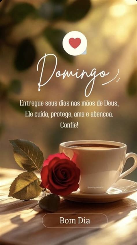 Bom Dia Domingo Gratidao - Feliz domingo bom dia | Citações de gratidão, Mensagem de domingo feliz