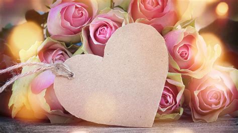 Blumen Herz Bilder Bilder Von Valentinstag Herz Rosen Rosa Farbe Blumen ...
