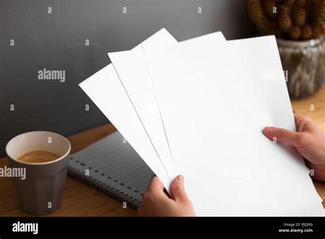 sorting papers  res stock photography  images alamy