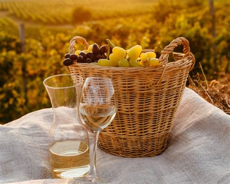 Купити онлайн напівсолодке біле вино Moscato - Chateau Chizay