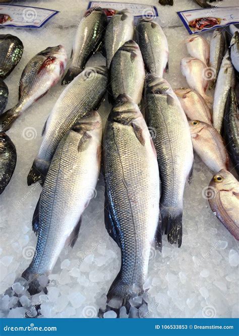 Sea Fish in Greece on the Market. Buy Fish. Traveling Stock Image