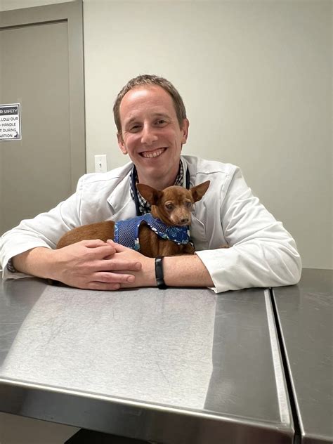 elk creek animal hospital