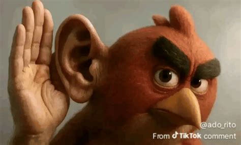 angry bird hear   meme angry bird hear   discover share