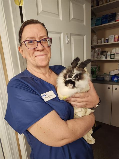 VCA South Hadley Animal Hospital - Home