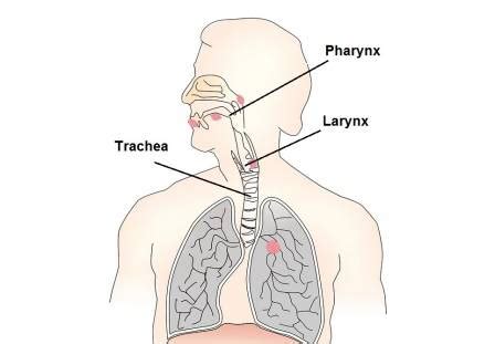 how to get rid of the tickle in your throat