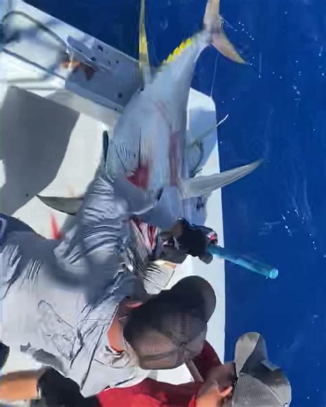 Koloa kauai tourism is boosting the local island economy 27