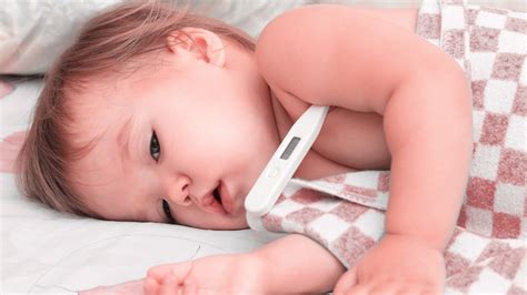 Bebê Com Temperatura Baixa E Suando - Febre em bebê: causas, quantos graus e como baixar a temperatura