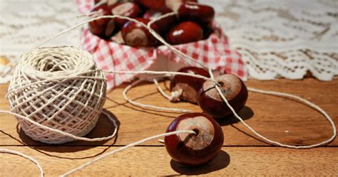 play conkers