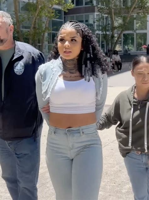 Chrisean Rock Gets Arrested While Attending Rapper Bluface's Court