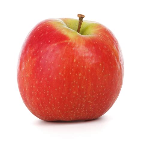 manzana roja aislada stock de foto gratis public domain pictures