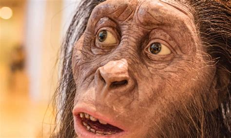 Australopithecus Animal Facts - A-Z Animals