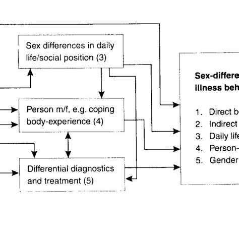 multi facet gender  health model  scientific diagram