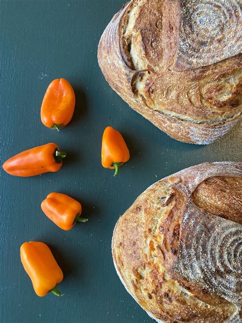 Wild Lab Bakery | Lexington KY