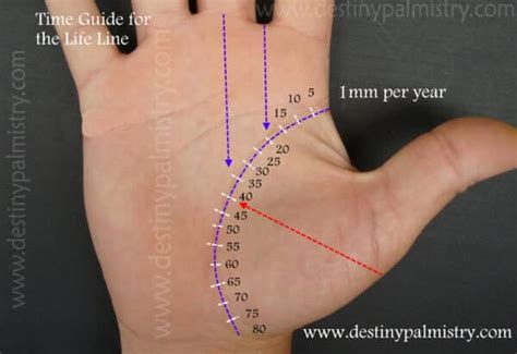 timing   life  guide palmistry destiny palmistry