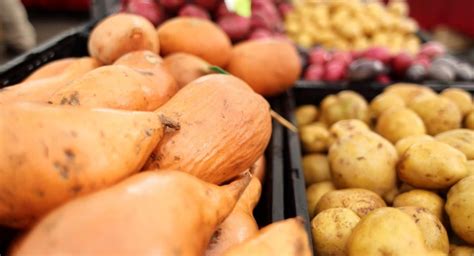 Batata Baroa E Mandioquinha É A Mesma Coisa - Qual a diferença entre batata-inglesa, batata-baroa (mandioquinha) e ...