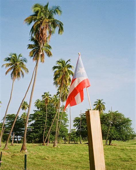 Jenah Yamamoto | Sunbeam baby 💫 | Instagram