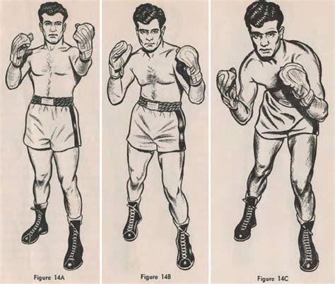 boxing techniques boxing positions  stances