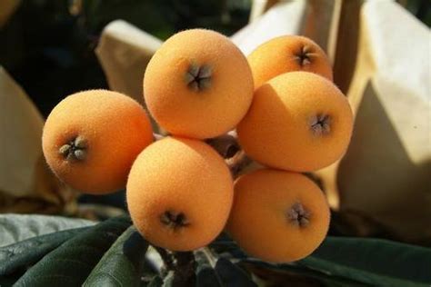 Китайская ферментированная зеленая слива Share для похудения и очищения ...