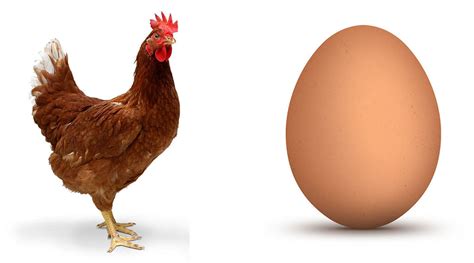 Chicken and egg Meme Generator