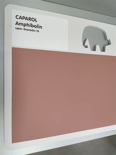 Caparol Amphibolin E.L.F. (Амфиболин Е.Л.Ф.): универсальная водно ...