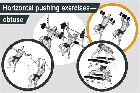 Horizontal pushing exercises - obtuse angle of force | Muscle Activation