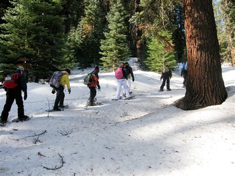 Snow-Based Activities - Naturalists At Large