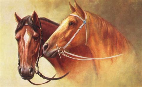 thoroughbred  gelding  lesson  leadership