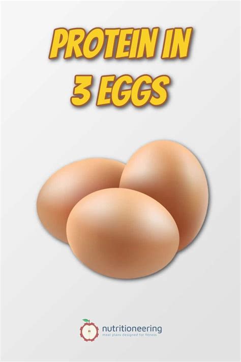 How Much Protein In 3 Eggs | Egg nutrition facts, Protein, Boiled egg protein