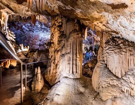 Jenolan Caves Tour - Ozia Tours