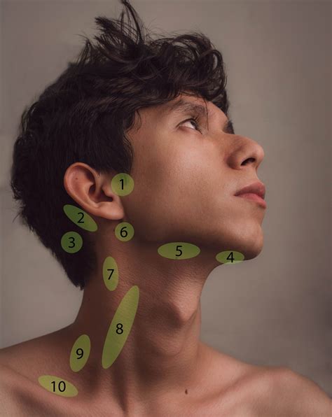 Lymph Node Assessment Assessment Of Node Swelling, Antibody Responses,