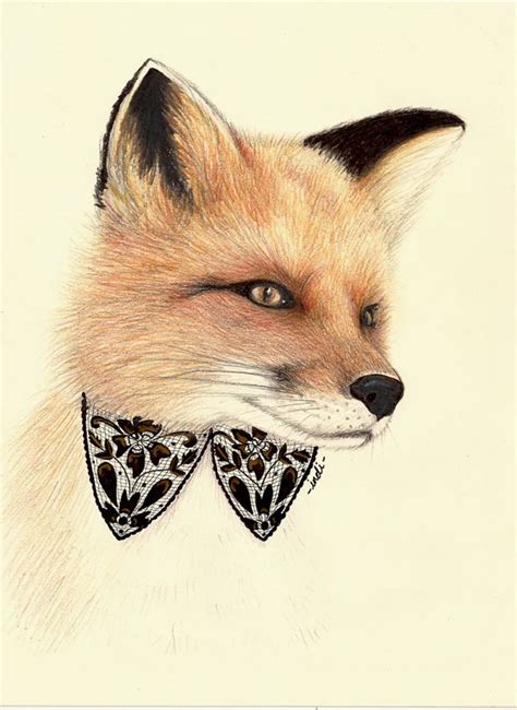 Prismacolor Animals on Behance | Quirky art, Fox illustration, Animal ...