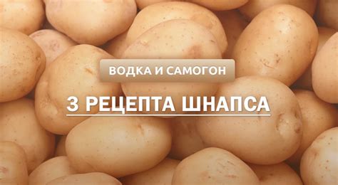 Шнапс: что это, сколько градусов, как пить + 3 рецепта в домашних условиях