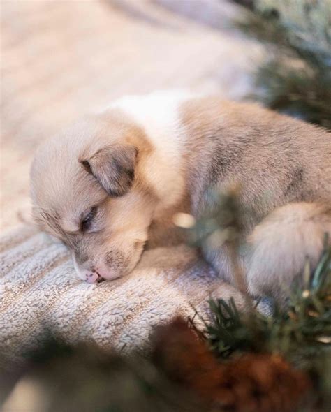 Hopeless So Frantic Instagram Hopelesssofrantic Free Onlyfans 2688