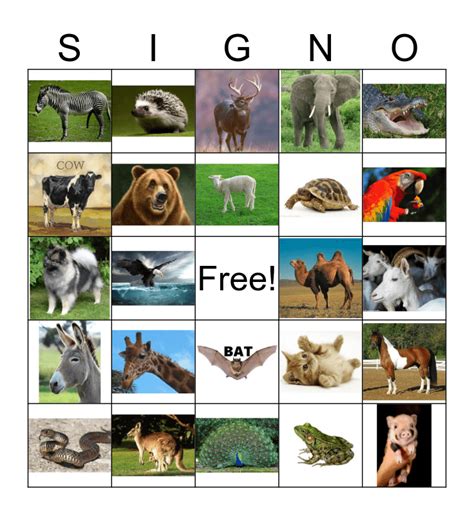 ANIMALS Bingo Card