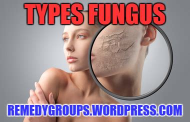 grass fungus types with photos | remedy groups