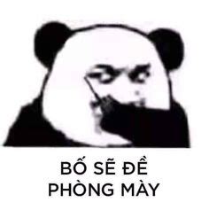anh cho vui nhon   tuong   de luu hom nay meme hai huoc va cac