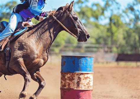 Different Types of Horse Riding Styles (3 Disciplines)