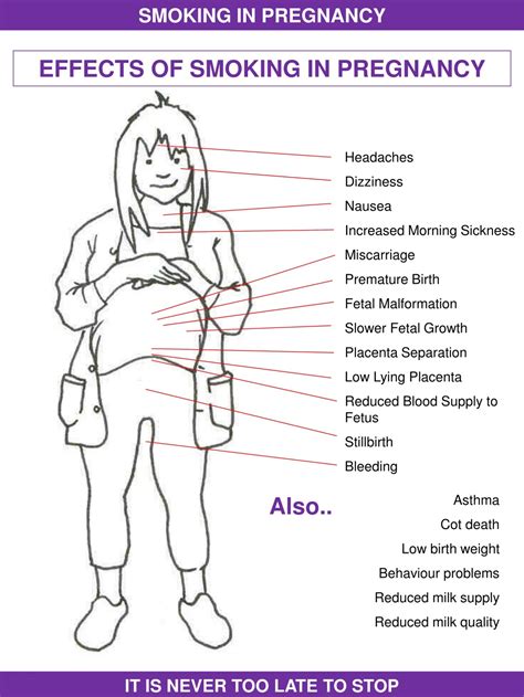 PPT - Smoking in Pregnancy Effects: Risks and Solutions PowerPoint