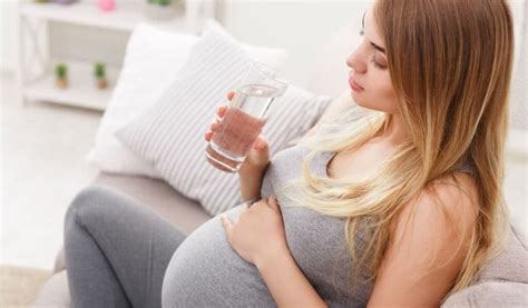 Gestante Pode Tomar Água Tônica - A Importância de Beber água na Gravidez - purificador de agua salvador
