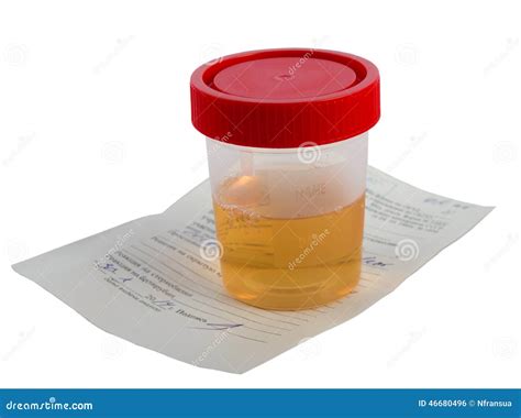 urine sample stock photo image  human laboratory