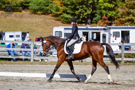 Rantings of a Horse Mom: Dressage, Hunters, Eventing - What's the ...