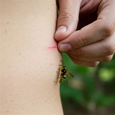 right ear high pitched ringing spiritual meaning 1