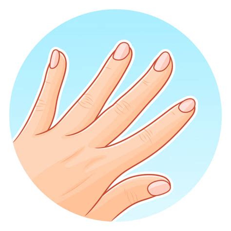 Nail Hand Illustrations, Royalty-Free Vector Graphics & Clip Art - iStock