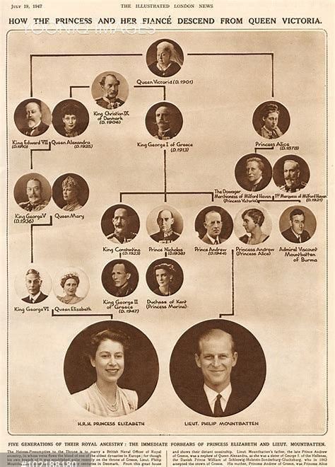 Queen Victoria Family Tree | British royal family tree, Royal family trees, Queen victoria family