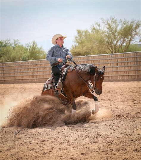 Photo Gallery — Colby Powell Performance Horses, LLC