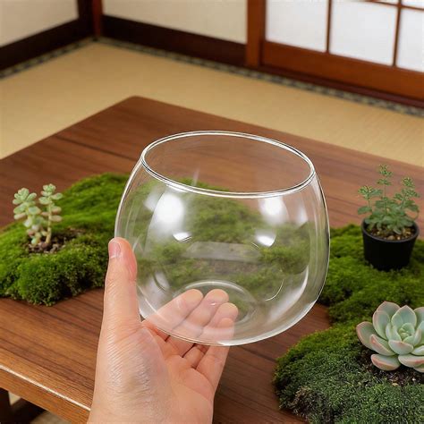 glass lotus bowl planter    clear water lily flower pot